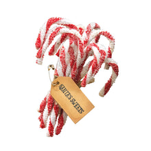 Load image into Gallery viewer, Sparkle Chenille Candy Canes: 12/set