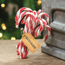 Load image into Gallery viewer, Sparkle Chenille Candy Canes: 12/set