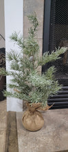 Load image into Gallery viewer, Weeping Pine Tree, 18"