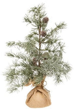 Load image into Gallery viewer, Weeping Pine Tree, 18"