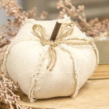 Load image into Gallery viewer, Canvas Stuffed Pumpkin