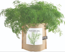 Load image into Gallery viewer, Garden in a Bag | Feathery Dill