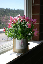 Load image into Gallery viewer, Garden in a Bag | Snapdragon